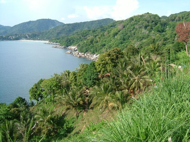 landscape